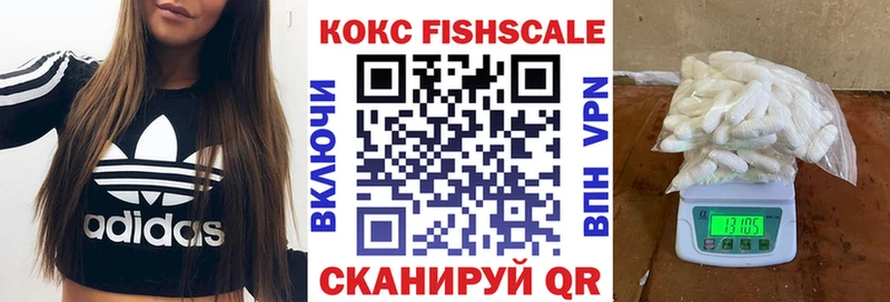 Виды наркотиков купить Тавда мега зеркало  MDMA  ГАШ  КОКАИН  СК  Канабис 