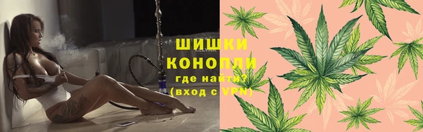 молекула духа Алзамай