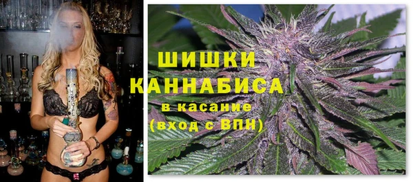 молекула духа Алзамай