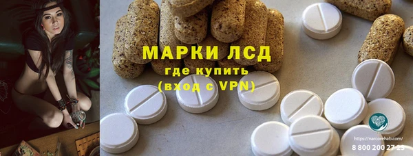 твердый Абаза