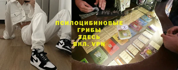 твердый Абаза