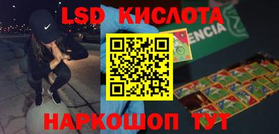 стаф Можга