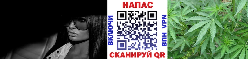 Марихуана план Тавда
